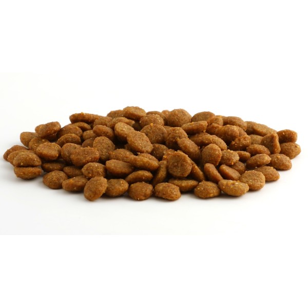 www.animalmedic.lt