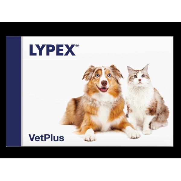 Lypex, (N60) капсулы