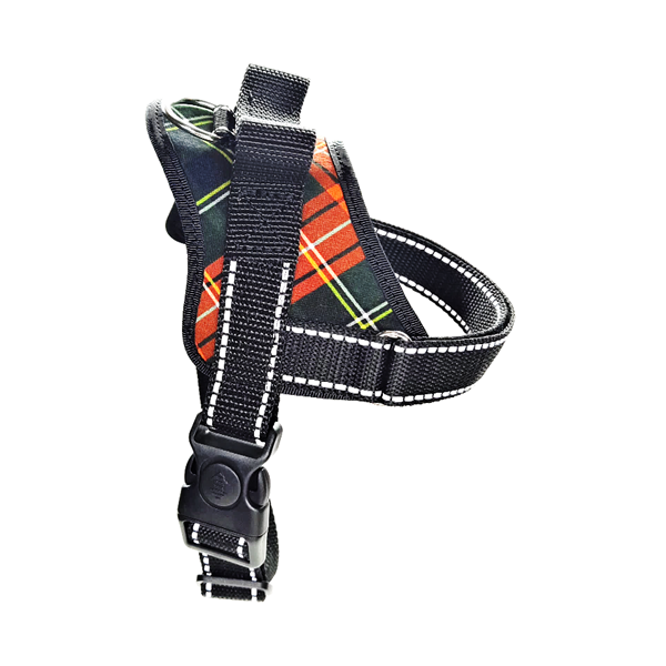 Real Dog Petnešos augintiniams, 44-55cm SM