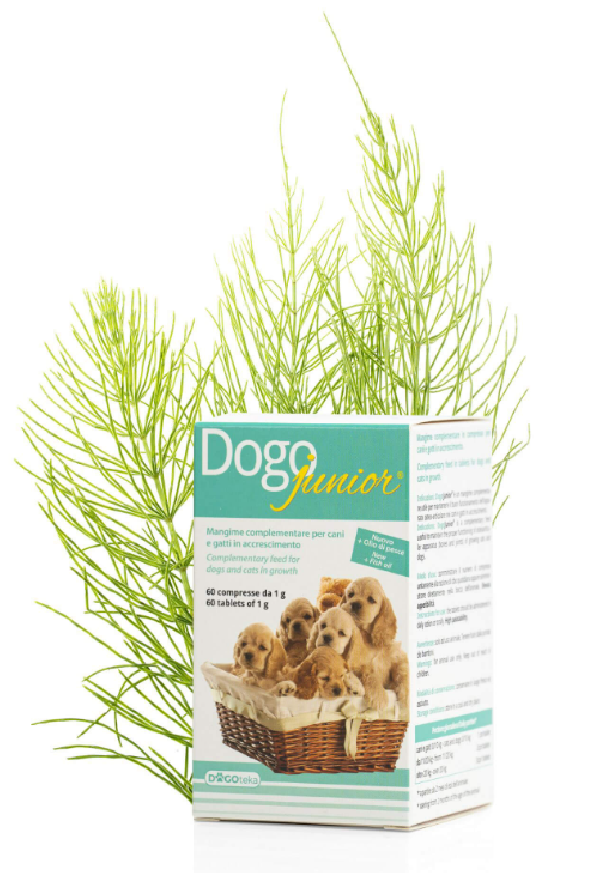 DOGOTEKA DOGOjunior 60 tabl.