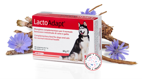 DOGOTEKA LactoAdapt 60 tabl.