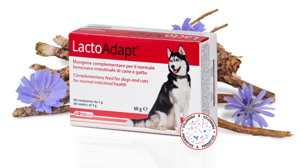 DOGOTEKA LactoAdapt tabletės (N60)