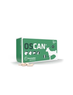 Oscan N60
