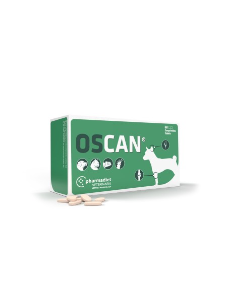 Oscan N60