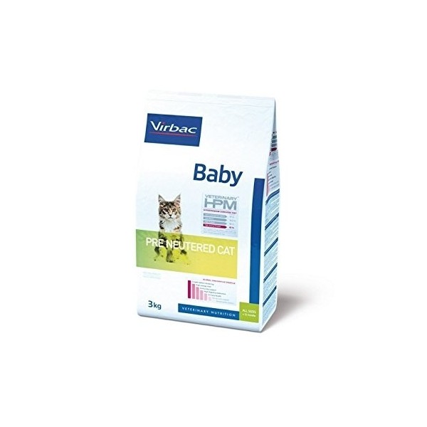 Baby Pre Neutered Cat