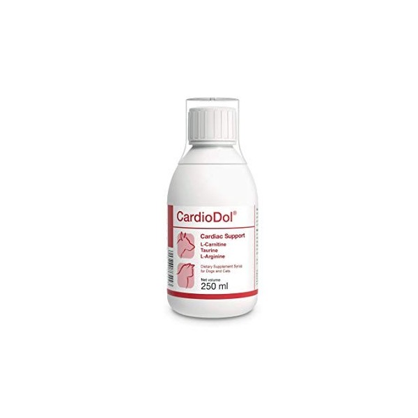 CardioDol 250ml., sirupas