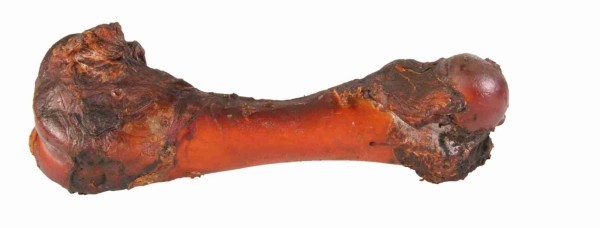 TRIXIE kumpio kaulas Ham bone, 20 cm, 280 g