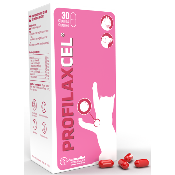 Profilaxcel, adjuvant after tumor removal, dogs, immunity